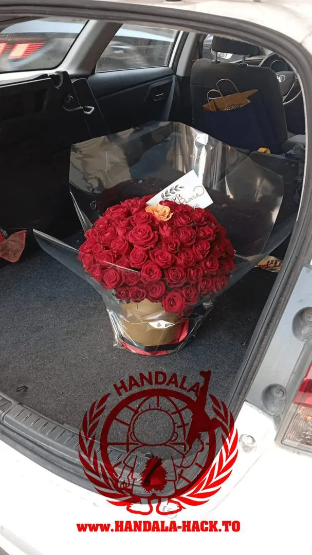 photo_2025-11-29_15-17-04