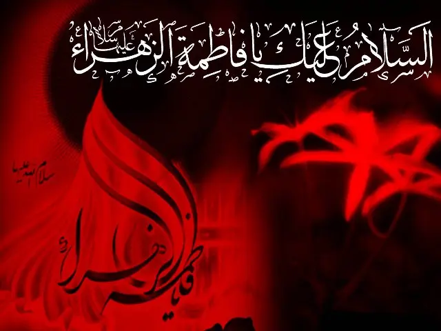 مرا دریاب که بی مهر تو هیچ هستم