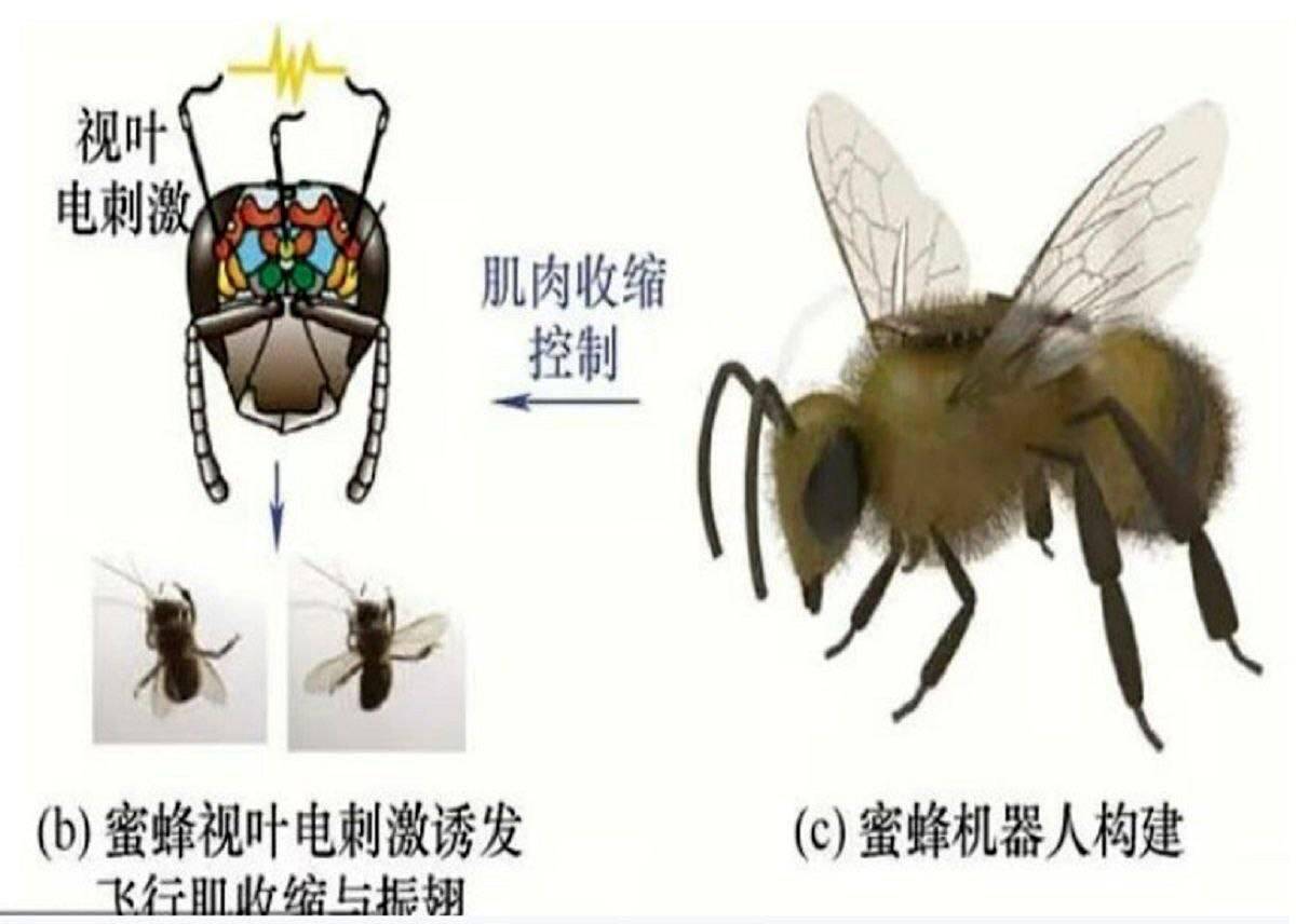 28e24b2e-647e-44d6-9950-9fa04d7edf57