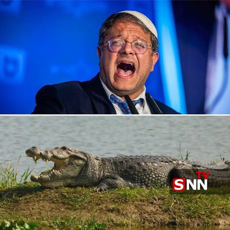 photo_2025-12-21_12-03-56