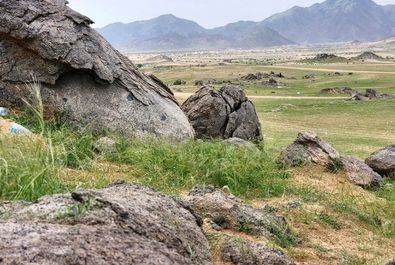 سبز شدن عربستان