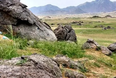 سبز شدن عربستان