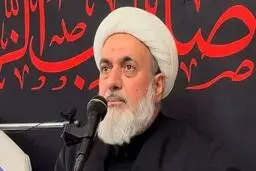 حکم حبس و خلع لباس محمدجواد محقق یزدی اجرا شد + جزئیات