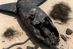 سیلی آسمانی ایران به اسرائیل؛ پهپاد متجاوز در همدان ساقط شد + عکس لاشه