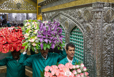 امام رضا