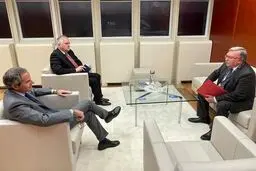 اولین عکس از دیدار اولیانوف و گروسی درباره ایران
