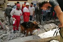 تعداد جانباختگان حادثه متروپل به 19 نفر رسید + جزئیات کامل