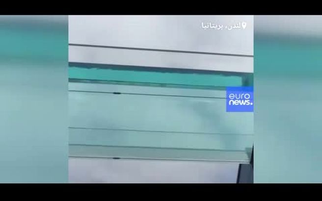فیلم؛ترس و دلهره شنا در استخر شیشه‌ایی و معلق لندن