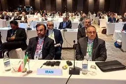 نجفی:دادگاه لاهه آپارتاید اسرائیل علیه فلسطین را شناسایی کرد