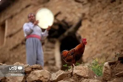 کردستان