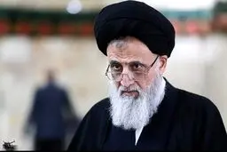 عضو شورای نگهبان به ظریف: برجام افتخار دارد که سکه جایزه گرفتید!