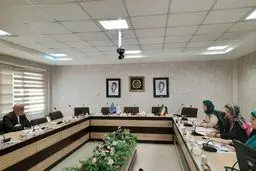 دیدار سفیر سوئیس با دبیر ستاد حقوق بشر ایران