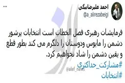 رئیس ستاد احمدی‌نژاد: دشمن را شاد نخواهیم کرد