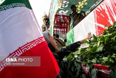 شهید