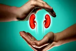 اورولوژیست کیست ؟| بهترین اورولوژیست مشهد