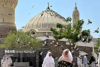 مدینه منوره