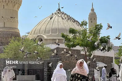 مدینه منوره