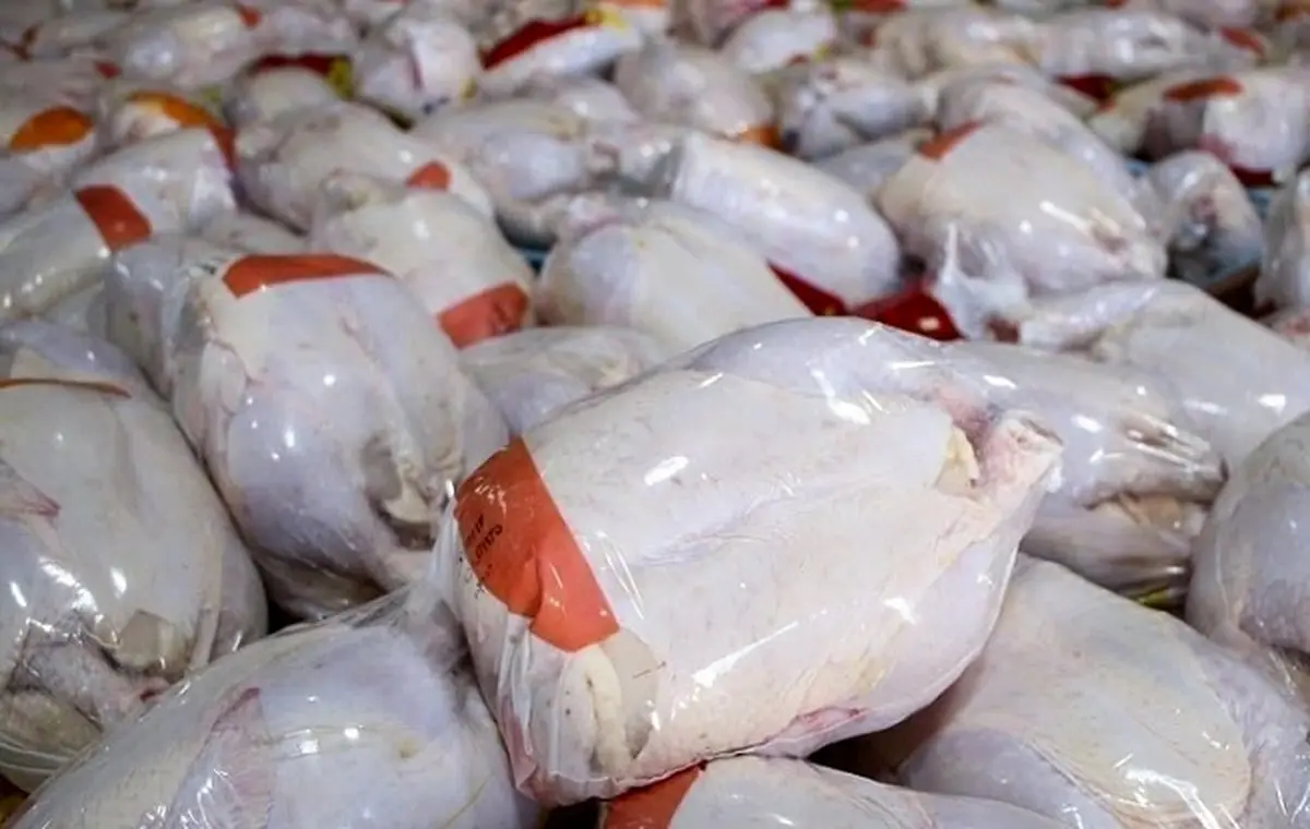 اتفاقی جالب ؛ مرغ هم پست می‌شود! + جزئیات 