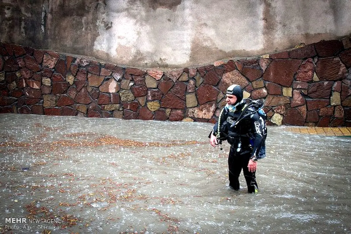 بارندگی شدید در شیراز پای غواص ها را به خیابان باز کرد/تصاویر