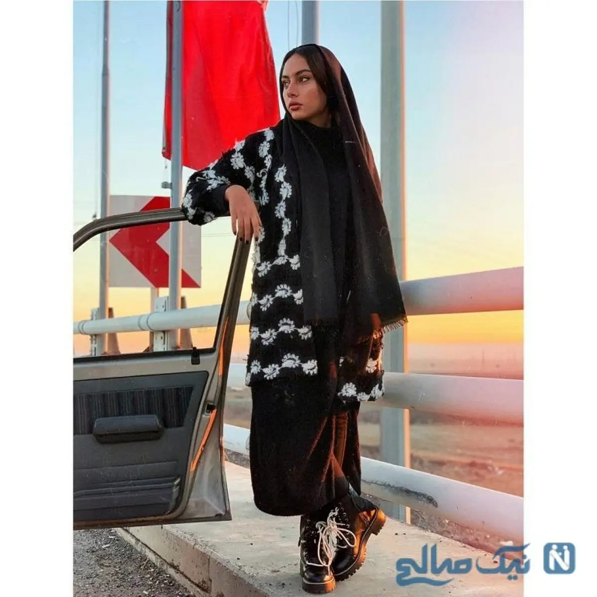 تصویری جدید از ترلان پروانه