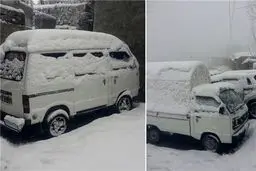 وقتی پاکستانی‌ها از بارش برف غافلگیر می‌شوند/تصاویر