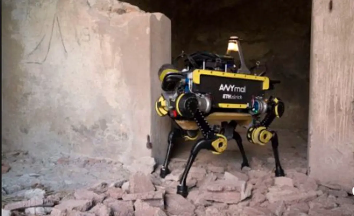 روبات لوله کش هم به بازار آمد! + عکس