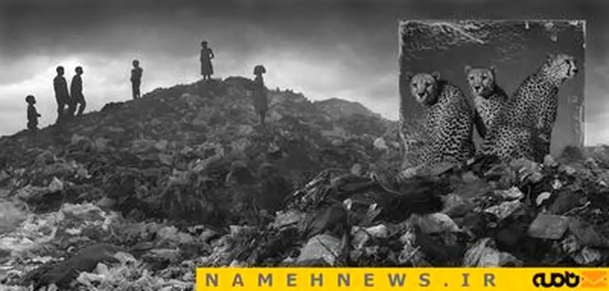 بازگشت به قلمرو گمشده!+تصاویر