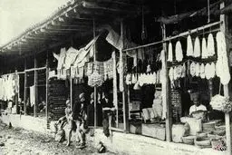 اینجا ایران؛ زندگی روزمره در 96 سال قبل/تصاویر