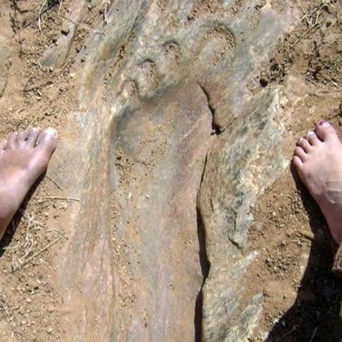 کشف ردپای عجیب و بزرگ از غول‌های باستانی در بهیما +عکس
