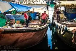 تصاویر جالب آماده سازی شناورهای صیادی بوشهر برای صید میگو