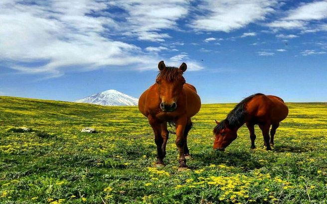 چشم اندازی متفاوت از قله دماوند / عکس