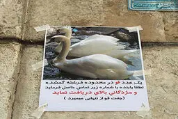 عجیب‌ترین آگهی یک گمشده در تهـران /عکس