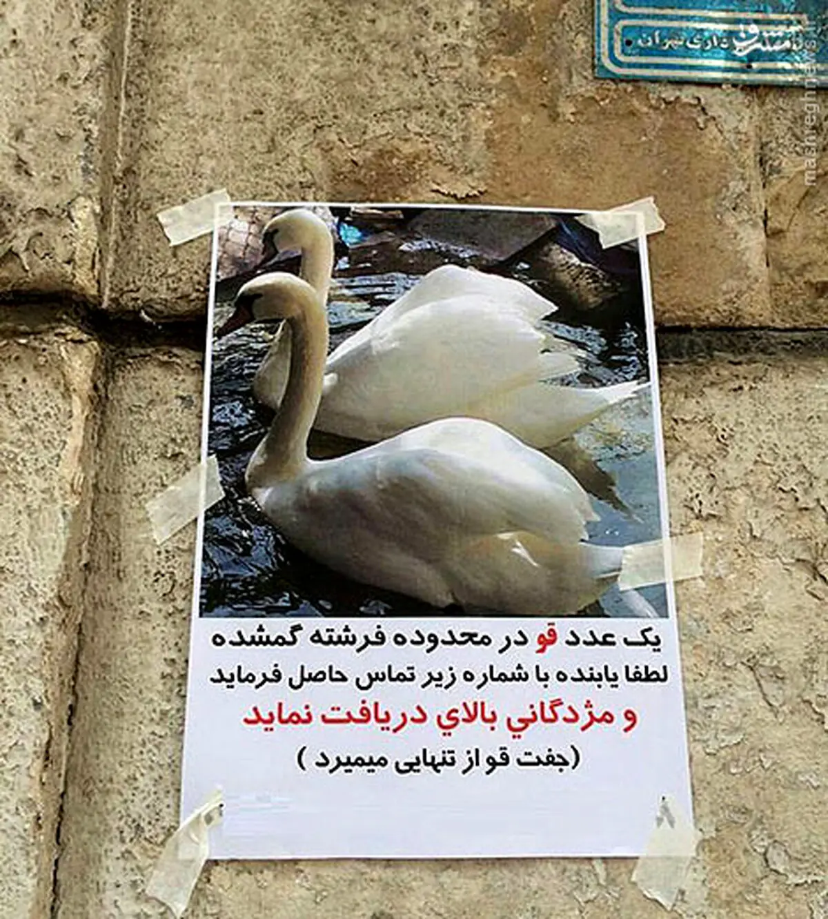 عجیب‌ترین آگهی یک گمشده در تهـران /عکس
