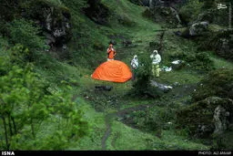 عکس/ طبیعت جنگل گلیده