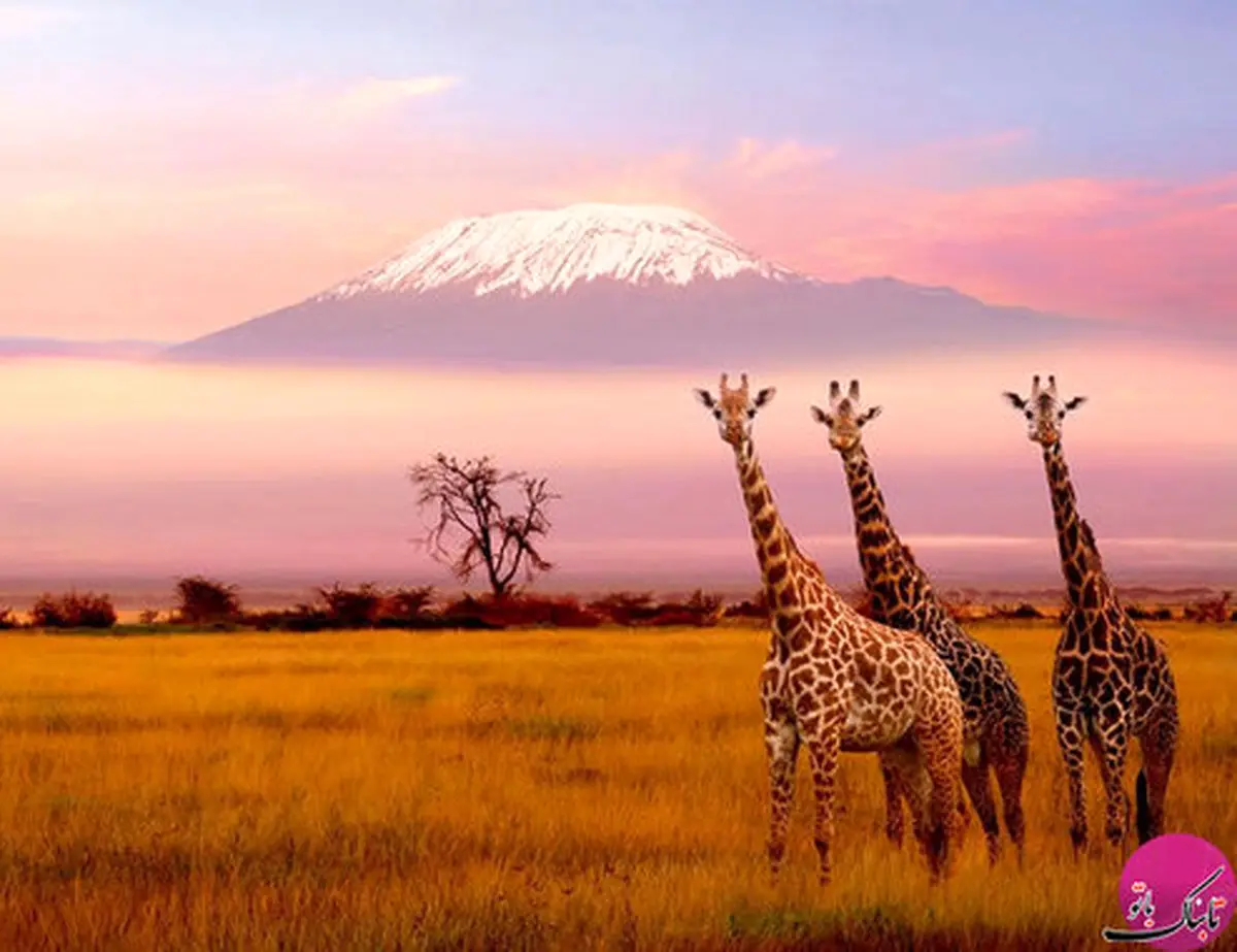 تصاویر شگفت انگیز از طبیعت زیبای آفریقا
