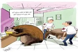 کاریکاتور/ اورژانس حیوانات!