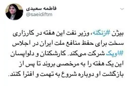 یک هفته به مرخصی بروید. زنگنه در اوپک کار سختی دارد