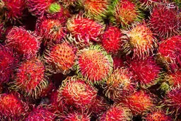 هیجان انگیزترین میوه ها/تصاویر