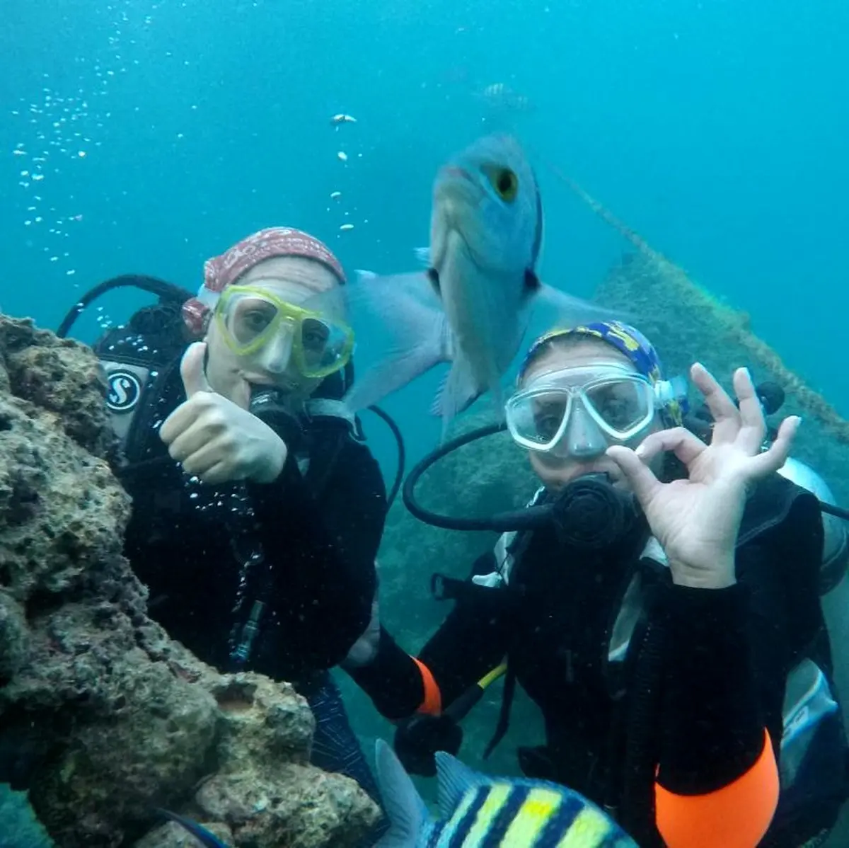 تصویری از دو بازیگر زن سینمای ایران زیر آب