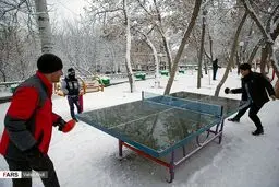 عکس / پینگ پنگ روی یخ!