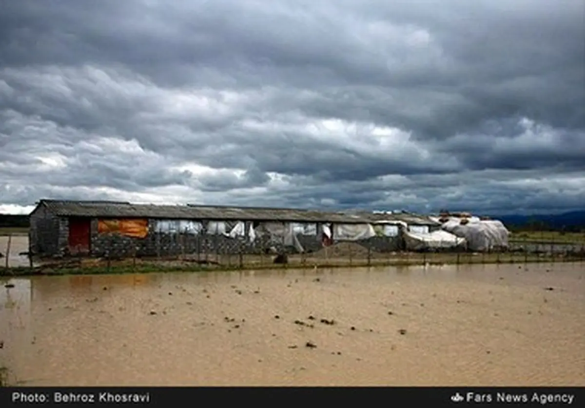 حال و هوای مردم پس از بارش اولین باران پاییزی / تصاویر