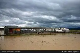 حال و هوای مردم پس از بارش اولین باران پاییزی / تصاویر