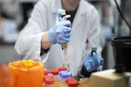 یک گام به سمت ساخت واکسن / دانشمندان کره جنوبی نقشه ژن کرونا را تهیه کردند