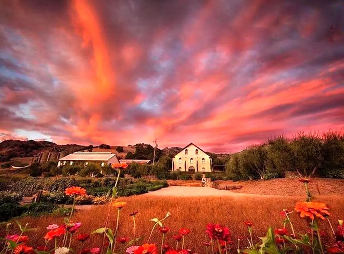 غروب دیدنی در کالیفرنیا/ عکس