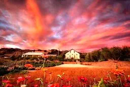 غروب دیدنی در کالیفرنیا/ عکس