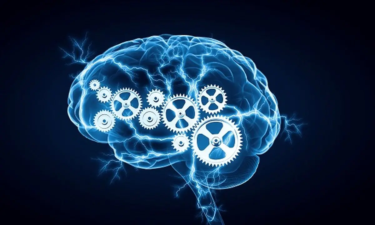 فواید 30 دقیقه ورزش برای مغز