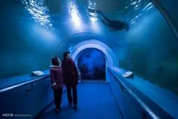 زندگی روزمره مردم کره شمالی‎/تصاویر