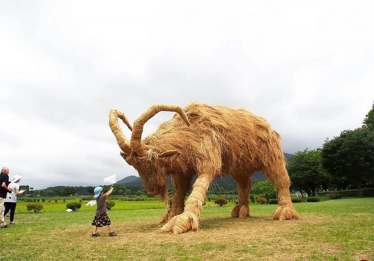 جشنواره کاه در ژاپن!/ تصاویر