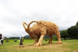 جشنواره کاه در ژاپن!/ تصاویر