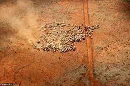 بزرگترین ملک شخصی دنیا +عکس